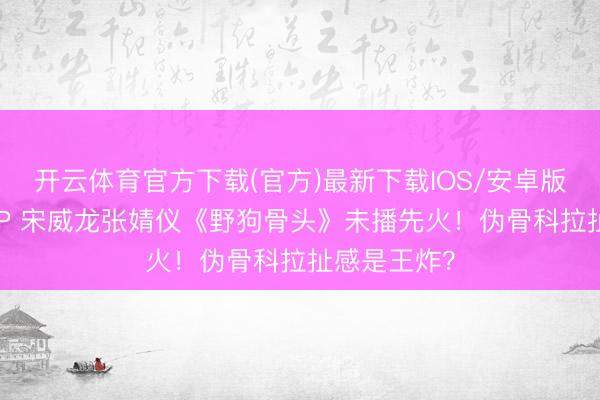 开云体育官方下载(官方)最新下载IOS/安卓版/手机版APP 宋威龙张婧仪《野狗骨头》未播先火！伪骨科拉扯感是王炸？