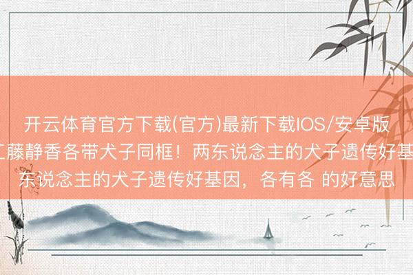 开云体育官方下载(官方)最新下载IOS/安卓版/手机版APP 邱淑贞工藤静香各带犬子同框！两东说念主的犬子遗传好基因，各有各 的好意思