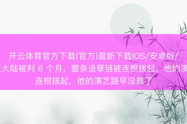 开云体育官方下载(官方)最新下载IOS/安卓版/手机版APP 王大陆被判 6 个月，整条造孽链被连根拔起，他的演艺路早没救了