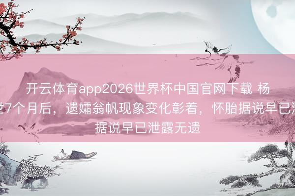 开云体育app2026世界杯中国官网下载 杨振宁离世7个月后,遗孀翁帆现象变化彰着,怀胎据说早已泄露无遗
