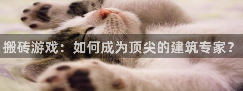 搬砖游戏：如何成为顶尖的建筑专家？