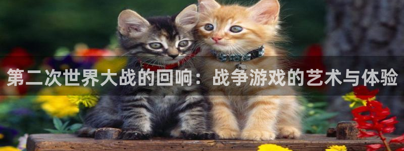 第二次世界大战的回响：战争游戏的艺术与体验