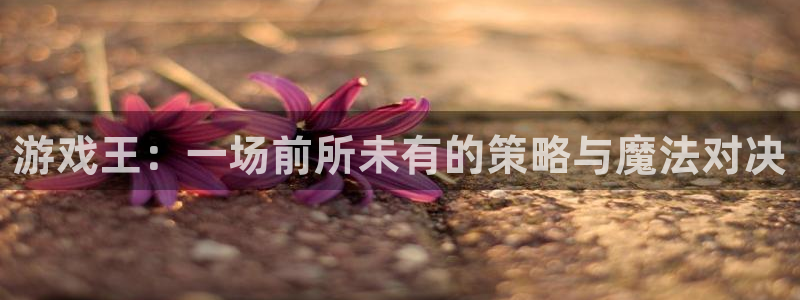 一竞技官网注册流程