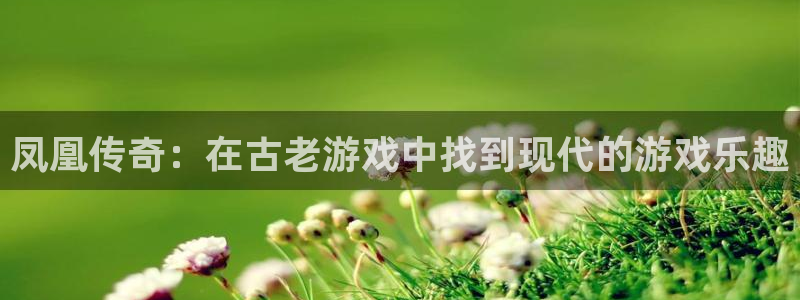 一竞技测速站网址