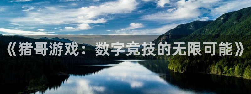 一竞技dota2官网入口：《猪哥游戏：数字竞技的无限可能》