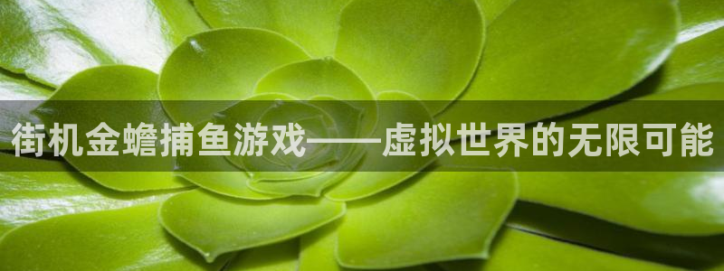 一竞技官网游戏平台
