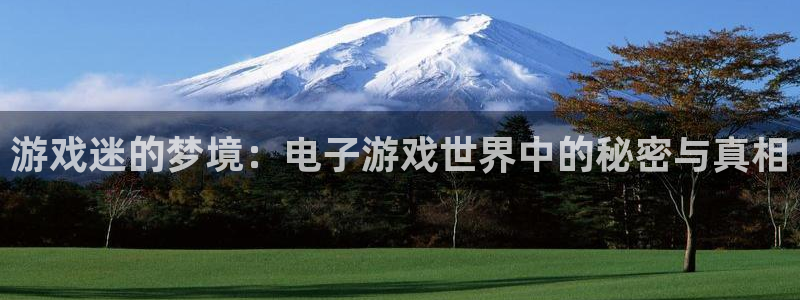 一竞技官网游戏平台：游戏迷的梦境：电子游戏世界中的秘密与真相